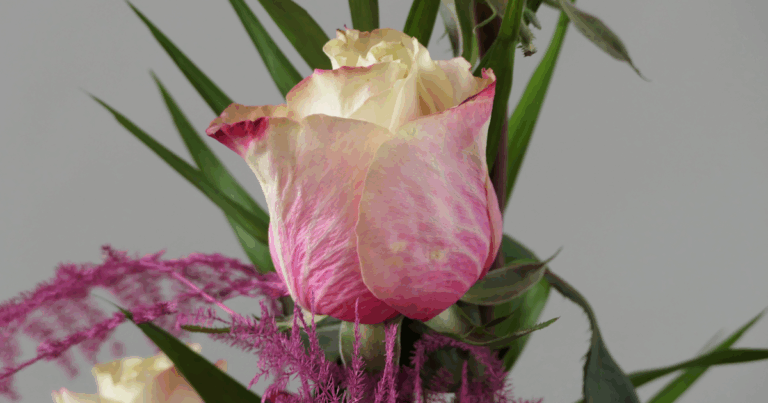 Foto Blüte Altarschmuck