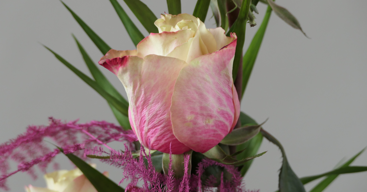 Ver­an­stal­tung: Kon­fir­ma­ti­ons­got­tes­dienst 26 mit der Gläs­ner-Band